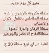 رونى فوود  مصر منيو بالعربي